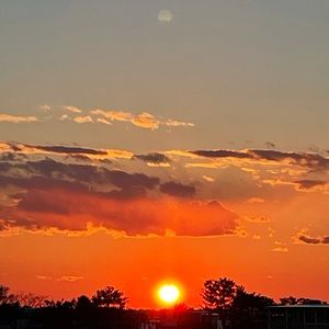 Meet your Posher, Kelli